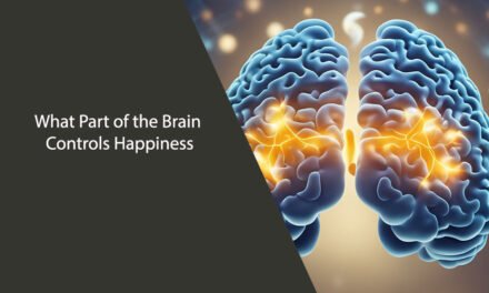 What Part of the Brain Controls Happiness